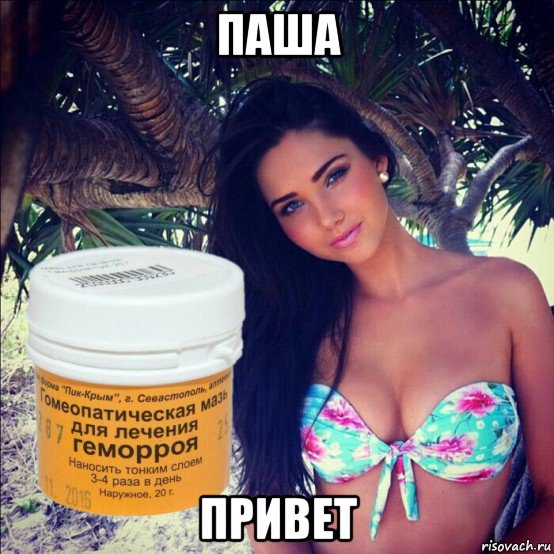 паша привет