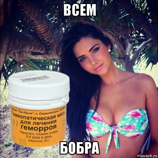 всем бобра