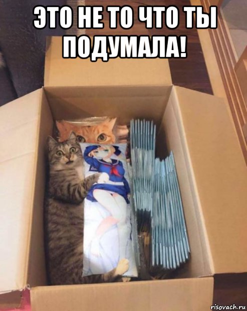 это не то что ты подумала! , Мем ДорогаяЭто не то что ты подумала