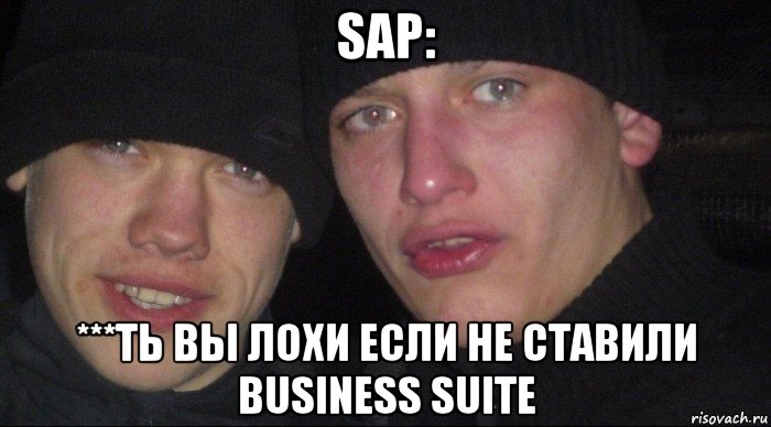 sap: ***ть вы лохи если не ставили business suite