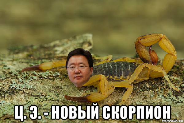  ц. э. - новый скорпион