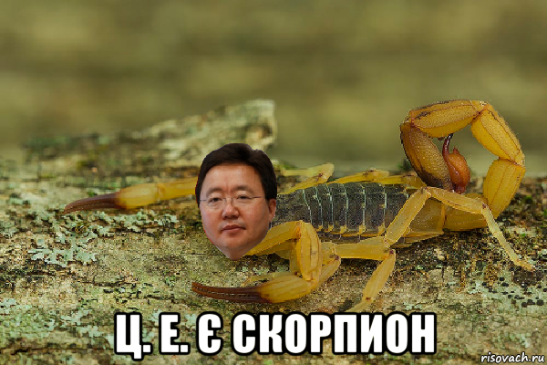  ц. е. є скорпион, Мем Элбэгдорж скорпион