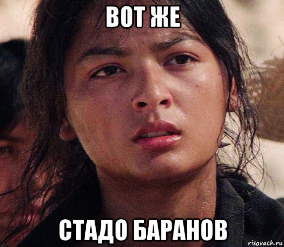 вот же стадо баранов