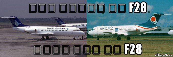 가루다 인도네시아 포커 f28 플라이트 웨스트 포커 f28, Мем Garuda Indonesia vs Flight West Fokker F28
