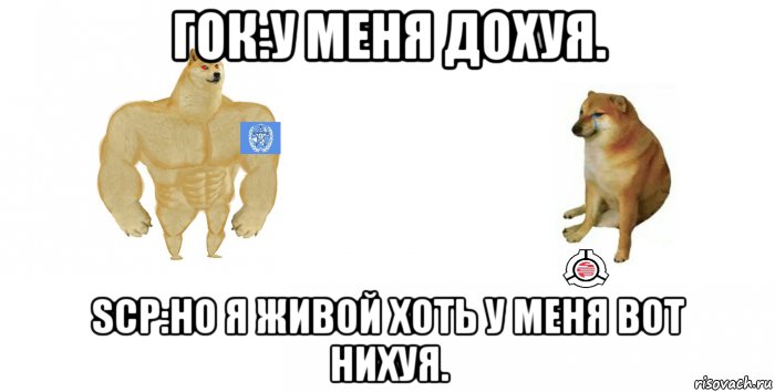 гок:у меня дохуя. scp:но я живой хоть у меня вот нихуя., Мем ГОК и SCP