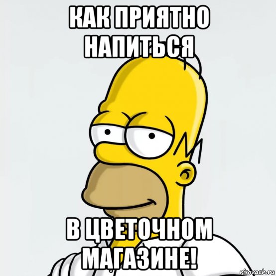 как приятно напиться в цветочном магазине!, Мем Гомер Симпсон