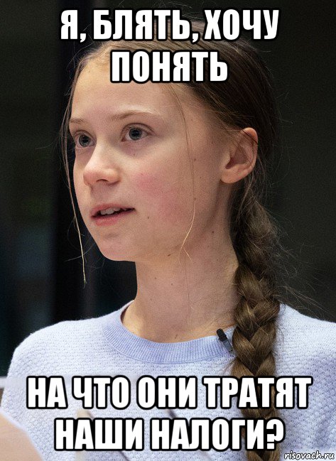 я, блять, хочу понять на что они тратят наши налоги?, Мем Greta