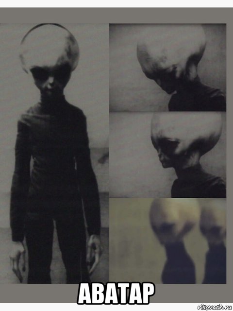 аватар, Мем Grey Alien - Биомашина