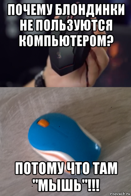 почему блондинки не пользуются компьютером? потому что там "мышь"!!!, Мем Хм