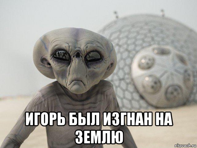  игорь был изгнан на землю