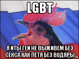 lgbt я иты геи не выживем без секса как петя без водяры