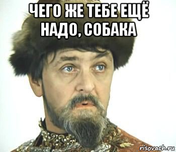 чего же тебе ещё надо, собака 