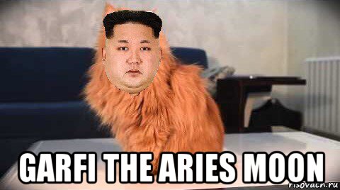  garfi the aries moon