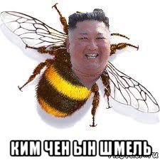  ким чен ын шмель