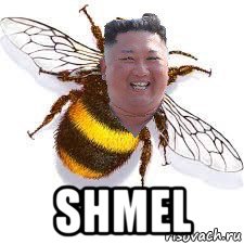  shmel