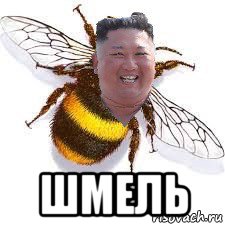  шмель