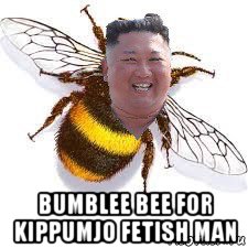  bumblee bee for kippumjo fetish man