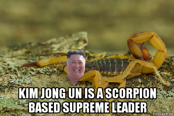  kim jong un is a scorpion based supreme leader, Мем Kim Jong scorpion