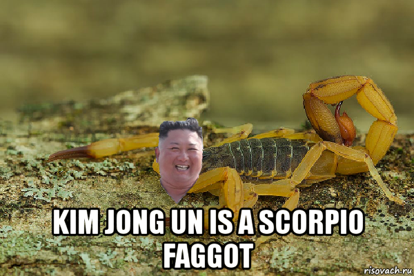  kim jong un is a scorpio faggot, Мем Kim Jong scorpion