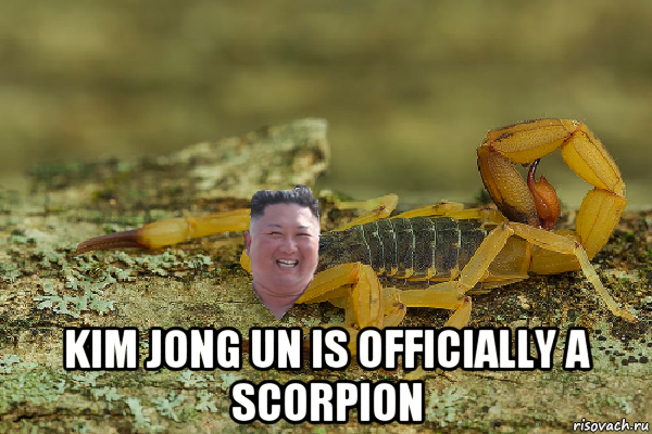  kim jong un is officially a scorpion, Мем Kim Jong scorpion