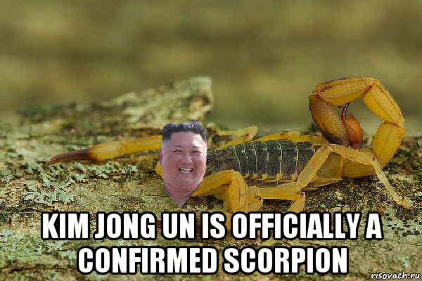  kim jong un is officially a confirmed scorpion, Мем Kim Jong scorpion