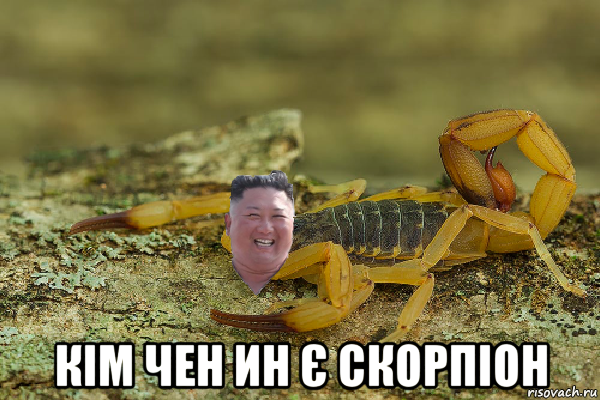 кім чен ин є скорпіон, Мем Kim Jong scorpion