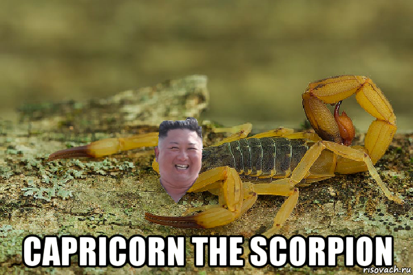  capricorn the scorpion, Мем Kim Jong scorpion