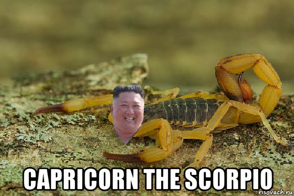  capricorn the scorpio, Мем Kim Jong scorpion