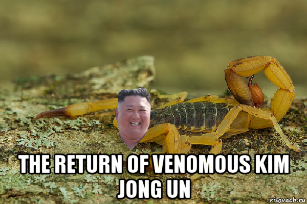  the return of venomous kim jong un, Мем Kim Jong scorpion