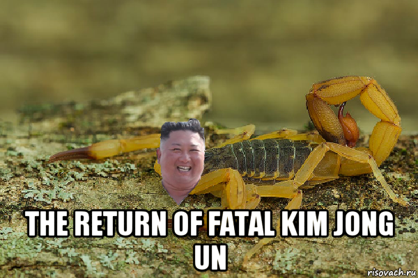  the return of fatal kim jong un, Мем Kim Jong scorpion