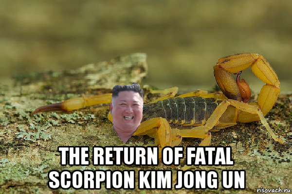  the return of fatal scorpion kim jong un, Мем Kim Jong scorpion