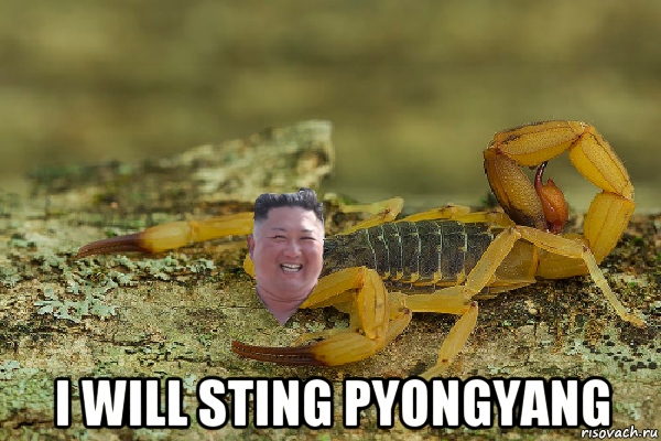  i will sting pyongyang, Мем Kim Jong scorpion