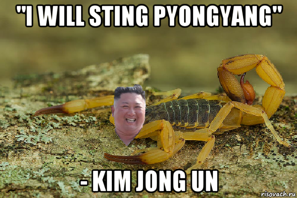 "i will sting pyongyang" - kim jong un, Мем Kim Jong scorpion