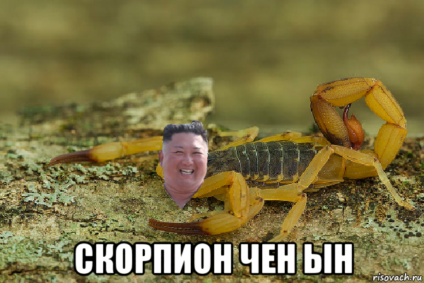  скорпион чен ын, Мем Kim Jong scorpion