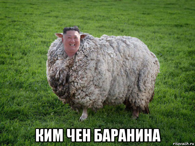  ким чен баранина, Мем Kim Jong sheep