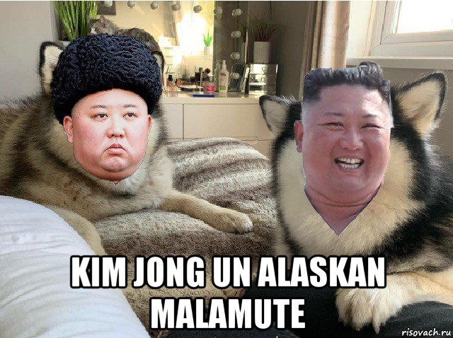  kim jong un alaskan malamute