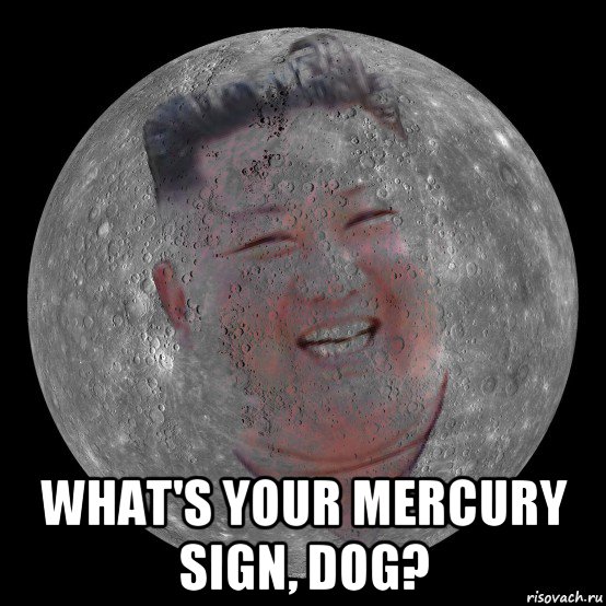  what's your mercury sign, dog?