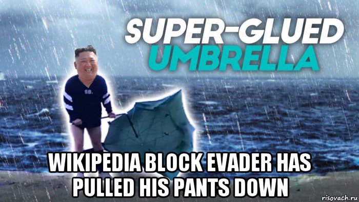  wikipedia block evader has pulled his pants down, Мем Kim Jong Un Super glued umbrella
