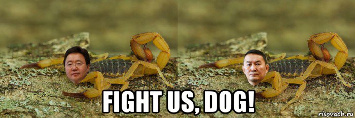  fight us, dog!, Мем Комбинация Элбэгдорж и Баттулга скорпион