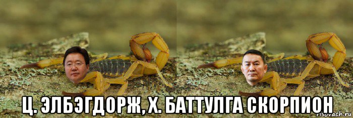  ц. элбэгдорж, х. баттулга скорпион, Мем Комбинация Элбэгдорж и Баттулга скорпион