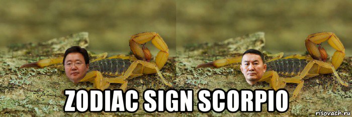  zodiac sign scorpio, Мем Комбинация Элбэгдорж и Баттулга скорпион