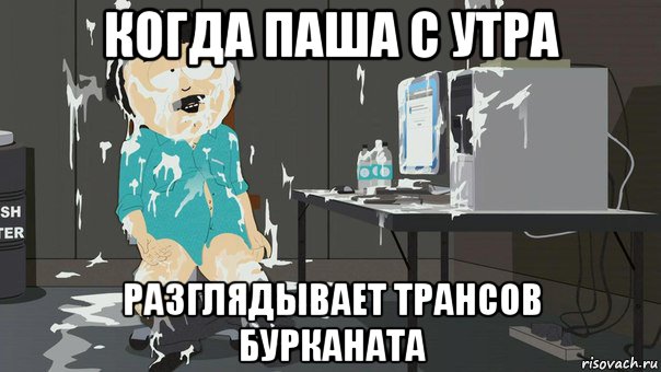 когда паша с утра разглядывает трансов бурканата