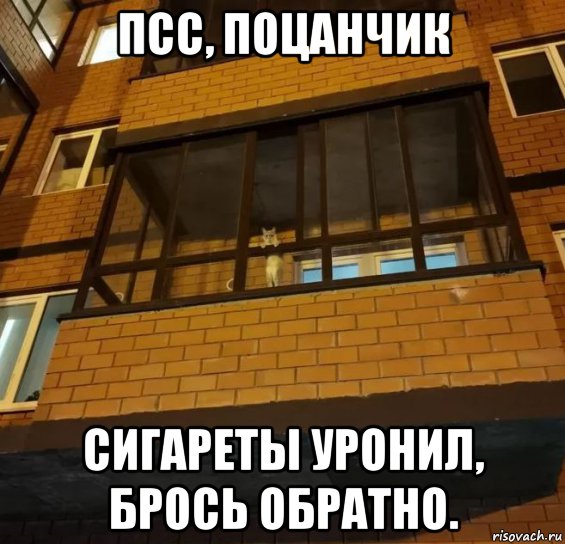 псс, поцанчик сигареты уронил, брось обратно., Мем Котэ на балконе