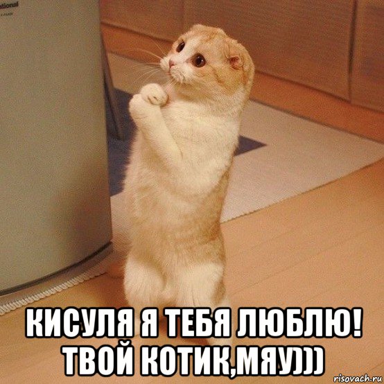  кисуля я тебя люблю! твой котик,мяу))), Мем  котэ молится