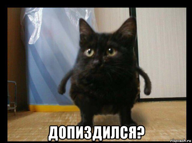  допиздился?