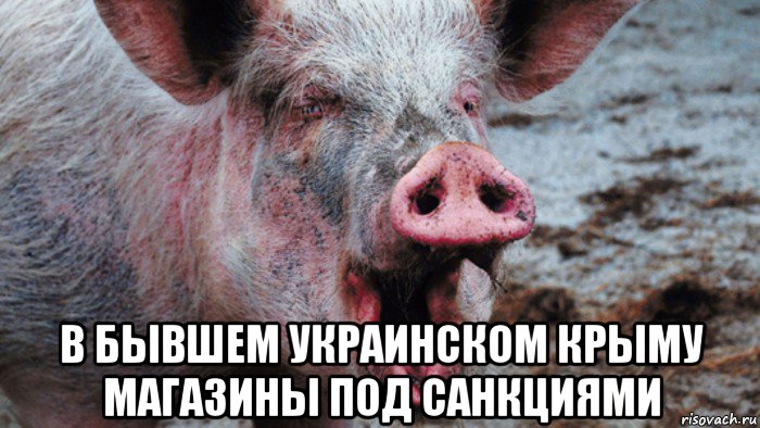  в бывшем украинском крыму магазины под санкциями