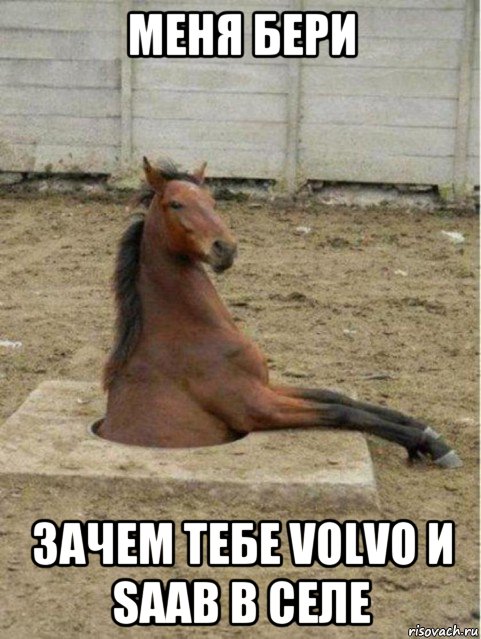 меня бери зачем тебе volvo и saab в селе, Мем лошадь в люке