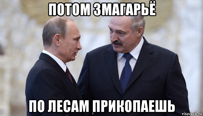 потом змагарьё по лесам прикопаешь, Мем Лукашенко