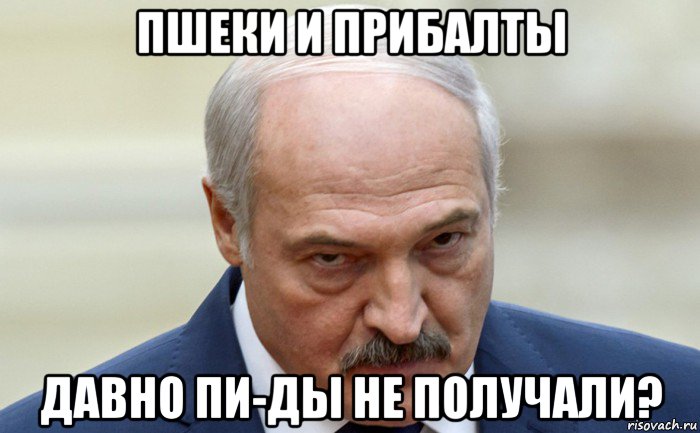 пшеки и прибалты давно пи-ды не получали?, Мем Лукашенко