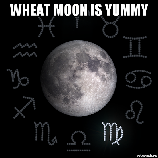 wheat moon is yummy , Мем Луна в Деве